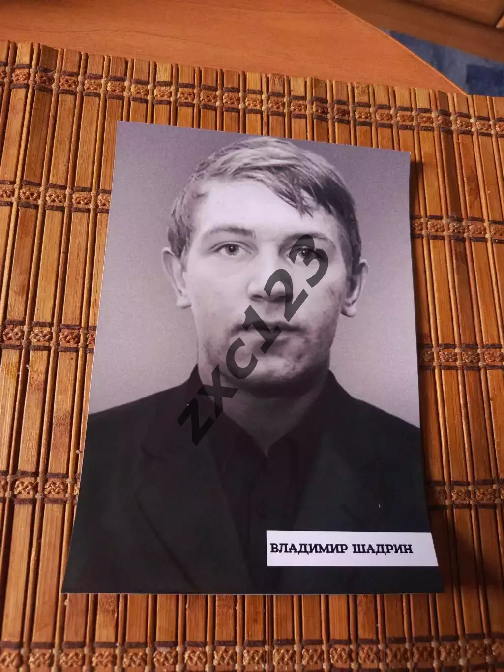 Владимир Шадрин##