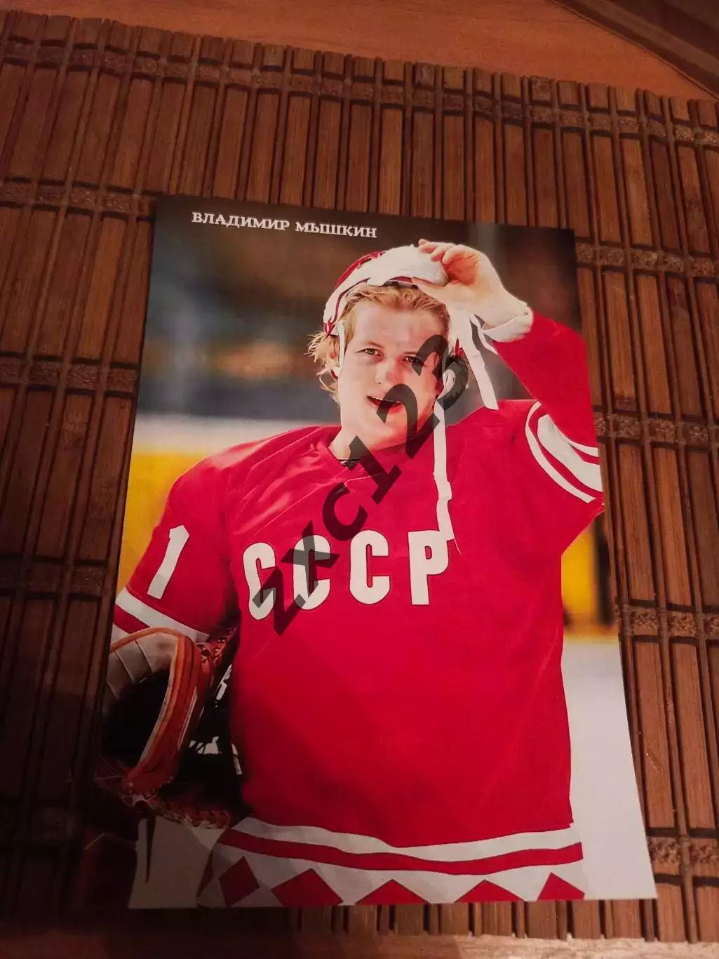 ВЛАДИМИР МЫШКИН (ВРАТАРЬ)