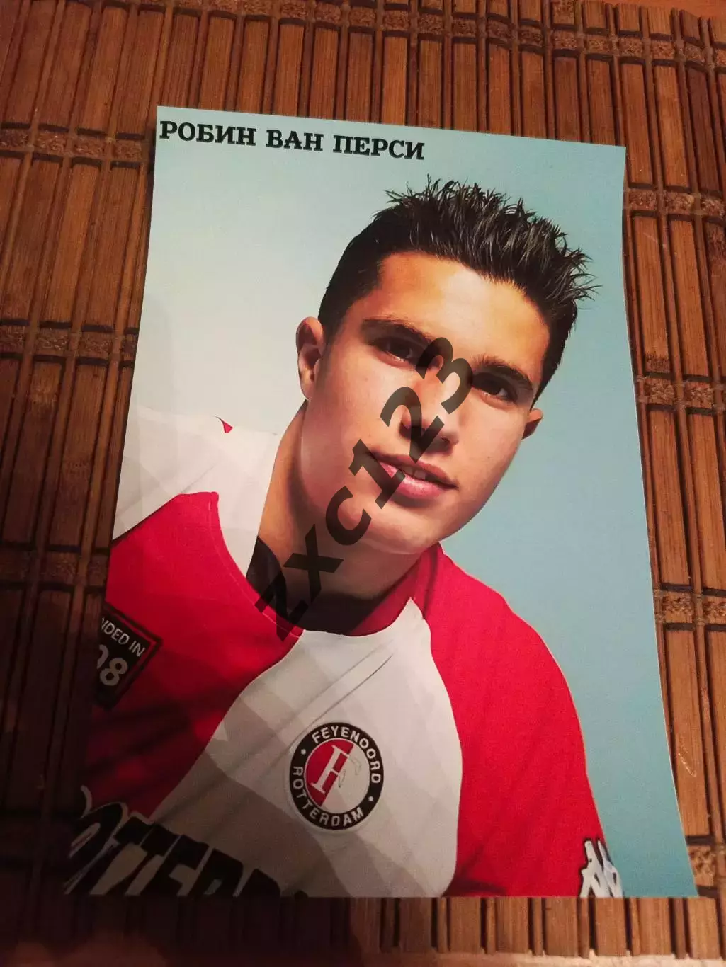 РОБИН ВАН ПЕРСИ