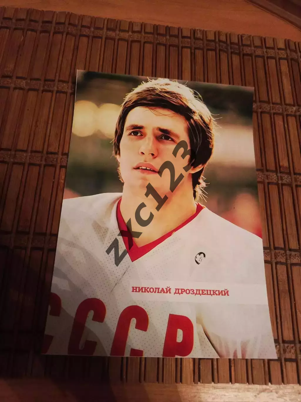 НИКОЛАЙ ДРОЗЕЦКИЙ