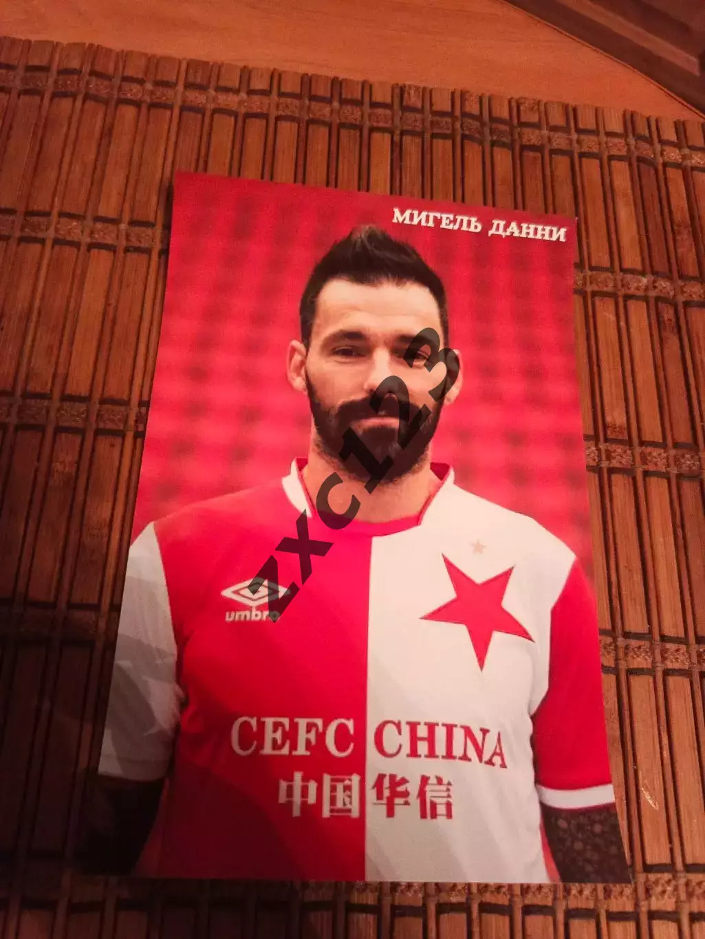 МИГЕЛЬ ДАННИ (КИТАЙ)