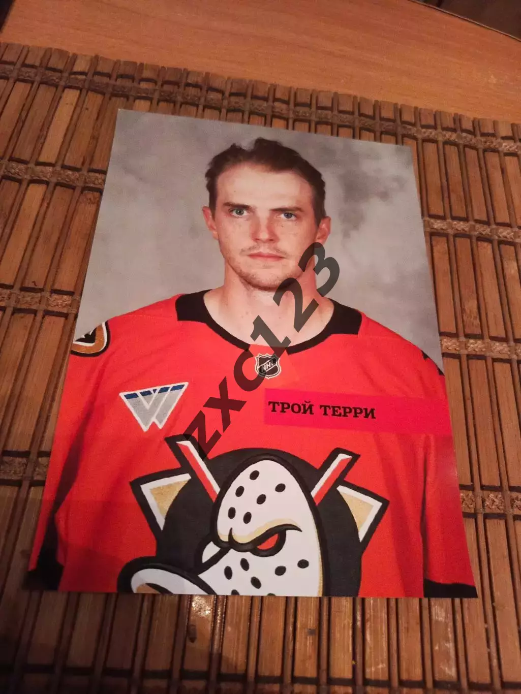 ТРОЙ ТЕРРИ (АНАХАЙМ)