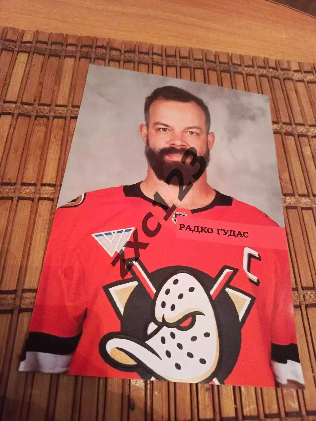 РАДКО ГУДАС (АНАХАЙМ)