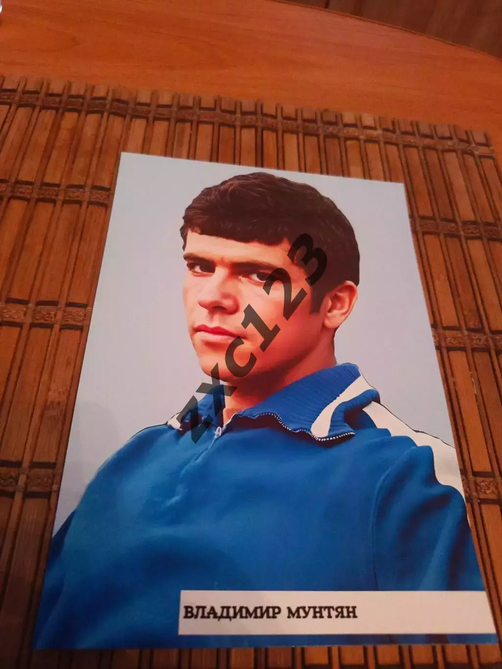 ВЛАДИМИР МУНТЯН