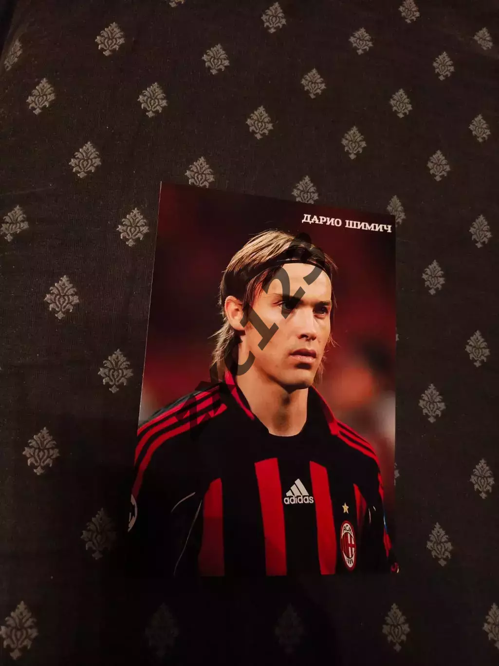 ДАРИО ШИМИЧ