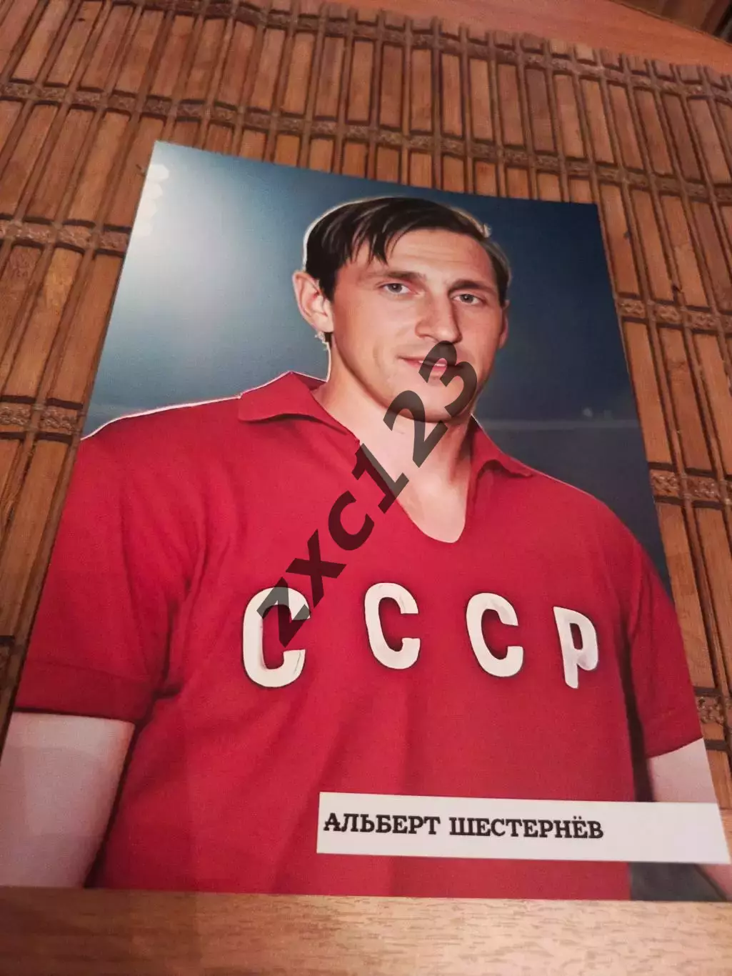 АЛЬБЕРТ ШЕСТЕРНЁВ (СССР)##