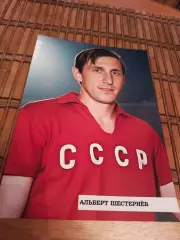 АЛЬБЕРТ ШЕСТЕРНЁВ (СССР)##