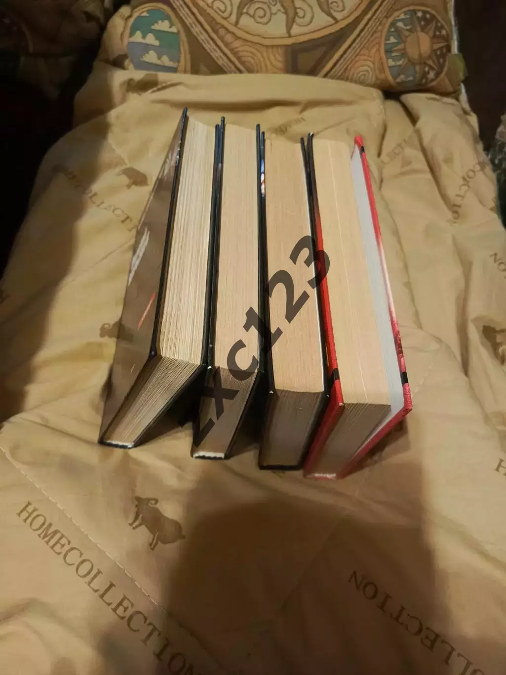 ВАЛЕРИЙ КАРЫШЕВ и АРТЁМ РУДАКОВ 2