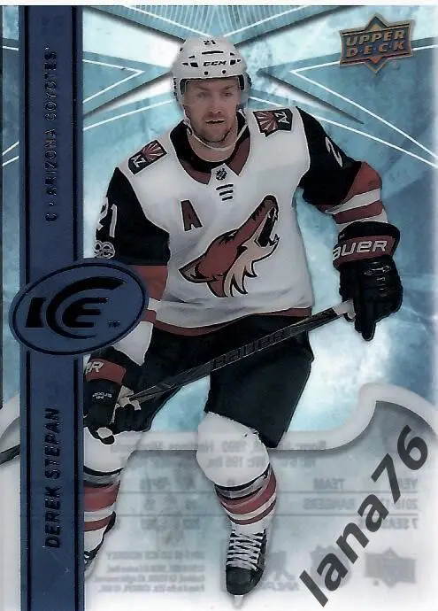 Степан Аризона 2017-18 Upper Deck Ice Hockey #81