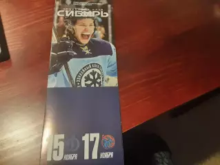 Сибирь Новосибирск - Динамо Москва/Шанхай 15/17.11.2025 официальная