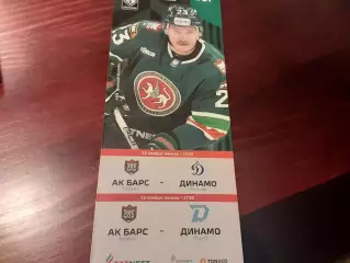 Ак Барс Казань - Динамо Москва/Динамо Минск 13/16.11.2025 официальная
