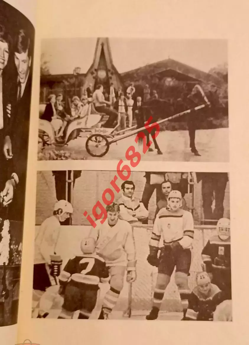 Звезды зарубежного спорта УЭЙН ГРЕТЦКИ НХЛ. Авторы У. Гретцки, Д. Тейлор 1989 г. 6