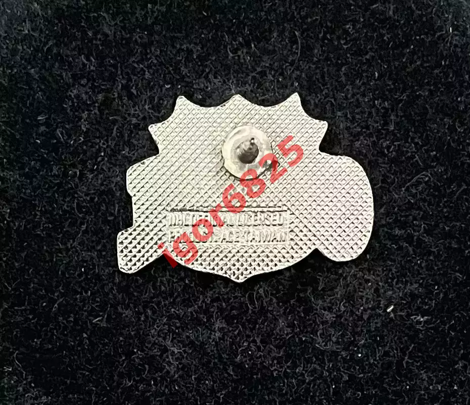 Знак Значок Конференция Клэренс Кэмпбелл НХЛ Clarence Campbell Conference NHL 4