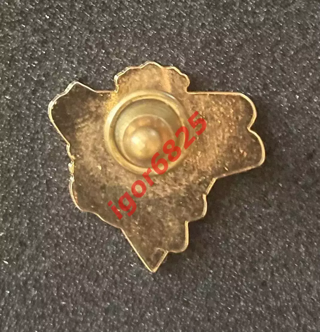 Хоккей. Знак Значок Хоккейный клуб MALTON ICE BEARS hockey club. Canada Canada. 3