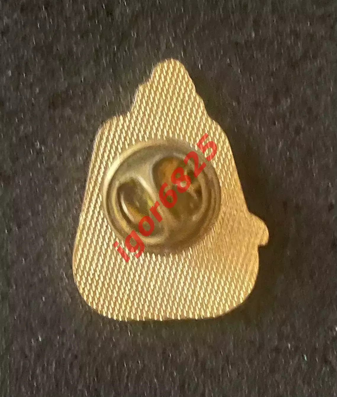 Хоккей. Знак Значок Хоккейный клуб Tri-Valley Hockey Club, California, USA. 3