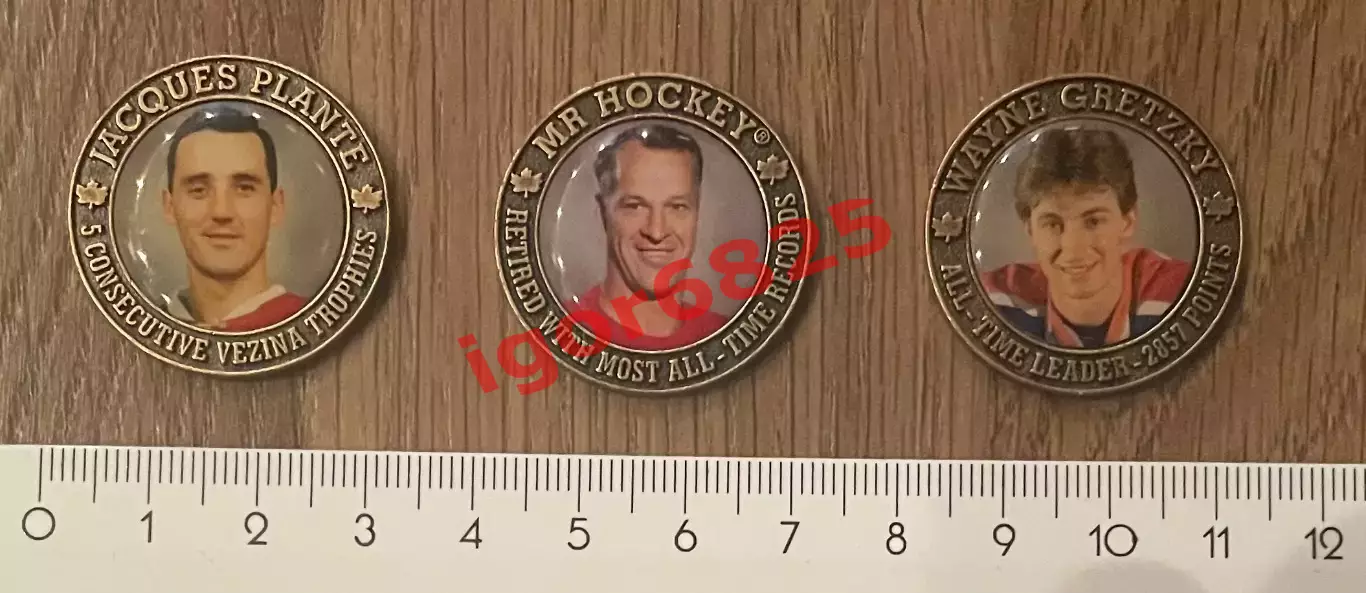 Хоккей. Набор медальонов Канадские легенды НХЛ 2004 Hockey Hall of Fame NHL 5