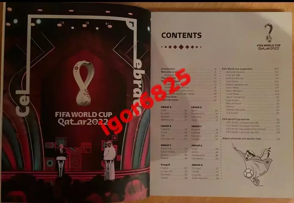 Чемпионат мира по футболу Катар 2022 FIFA WORLD CUP QATAR 2022. Программа FIFA 1