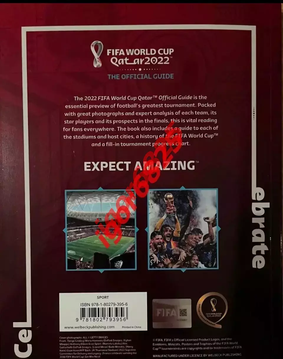 Чемпионат мира по футболу Катар 2022 FIFA WORLD CUP QATAR 2022. Программа FIFA 2