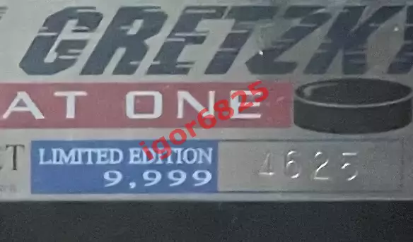 Хоккей Уэйн Гретцки Wayne Gretzky набор значков «The Great One» NHL Upper Deck 6