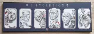 ХОККЕЙ Винтажное деревянное панно панель NHL «L’Evolution»маски вратарей НХЛ