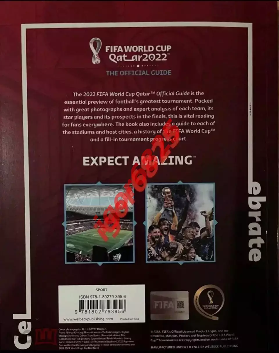 Чемпионат мира по футболу Катар 2022 FIFA WORLD CUP QATAR 2022. Программа FIFA 7