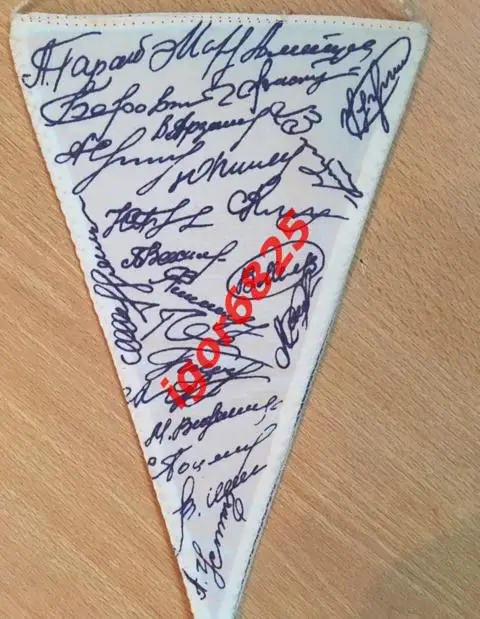 Вымпел Динамо Минск Чемпион СССР 1982 год. Автографы игроков. 20,5 см на 13 см 2