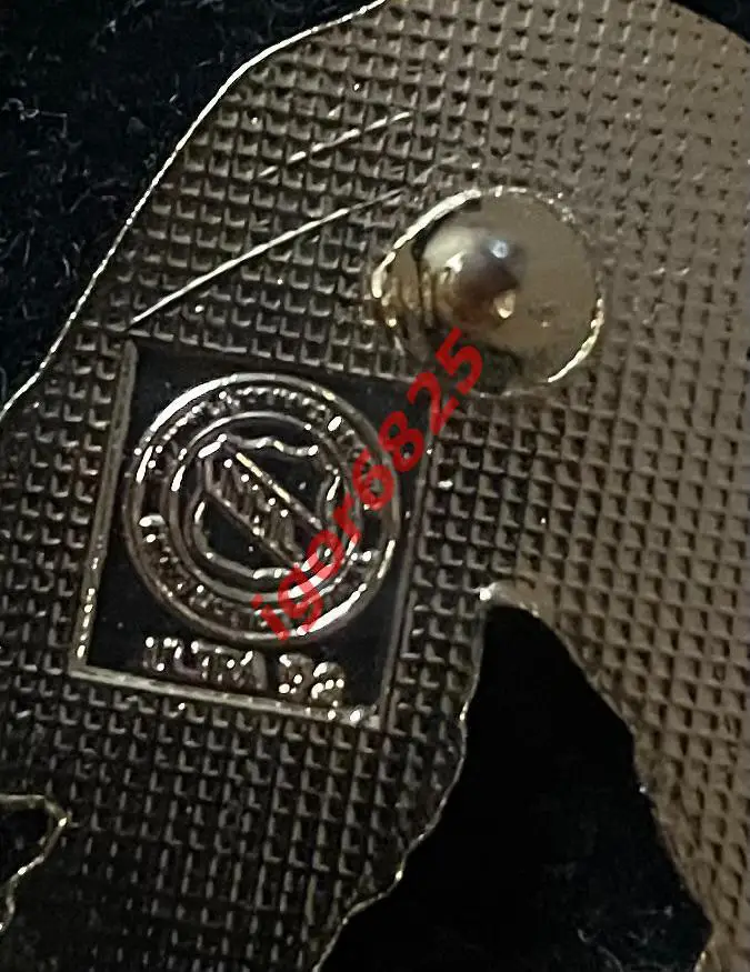 Хоккей. Знак Значок Вашингтон Кэпиталс. НХЛ. Washington Capitals NHL. Вратарь 2