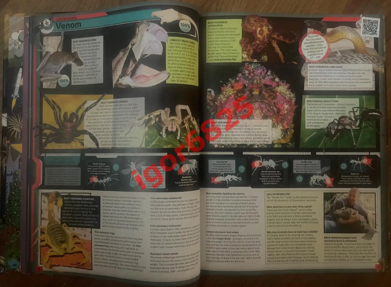 Книга Рекордов Гиннесса 2023 Оригинал на английском GUINNESS WORLD RECORDS 2023 4