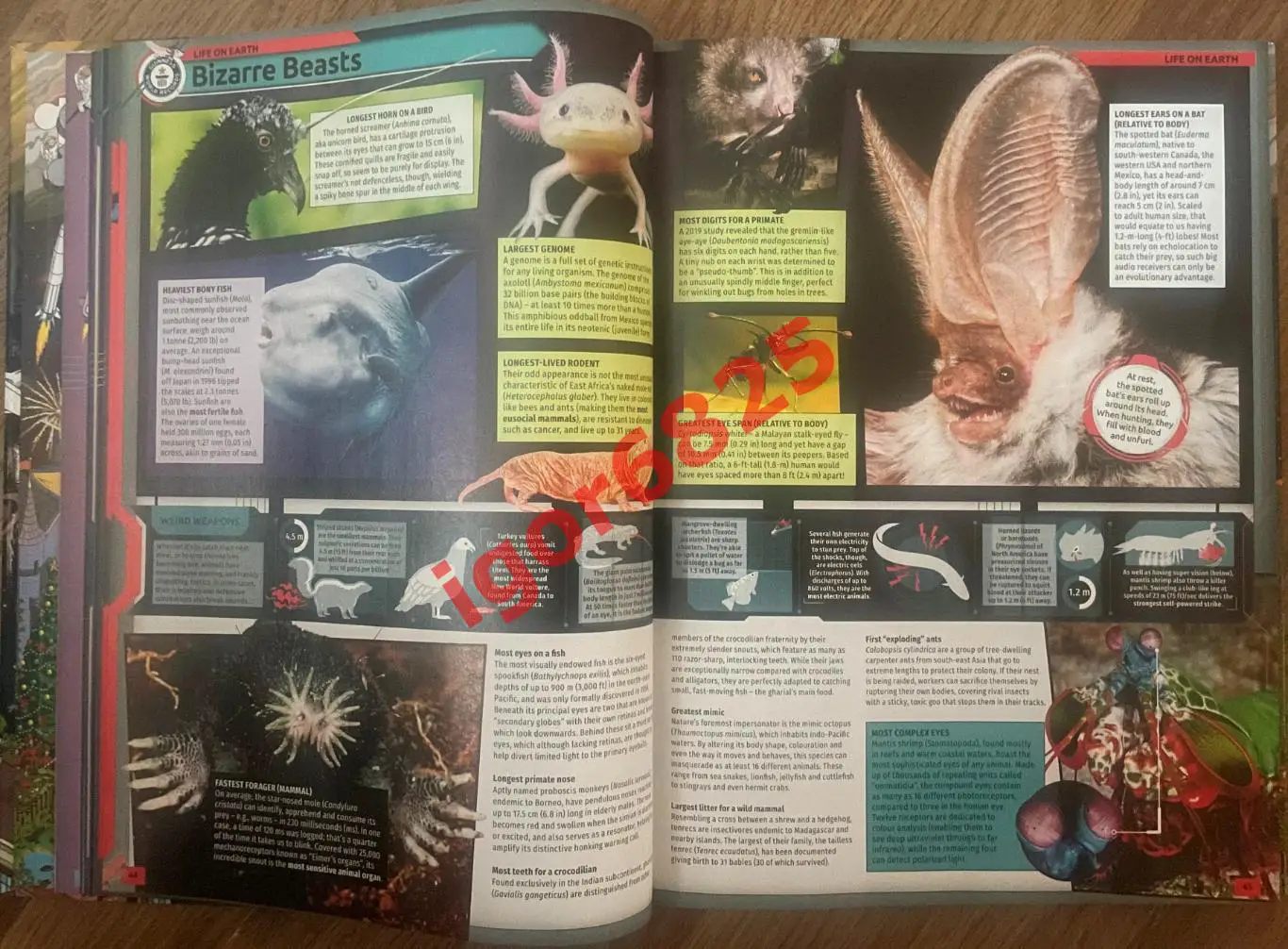 Книга Рекордов Гиннесса 2023 Оригинал на английском GUINNESS WORLD RECORDS 2023 5