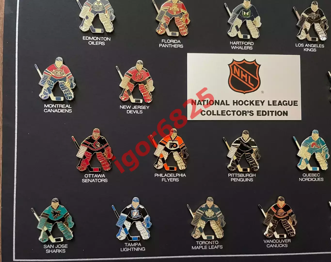 Хоккей набор значков НХЛ, серия вратари, NHL LOGO PINS Goalie 26 знаков 4