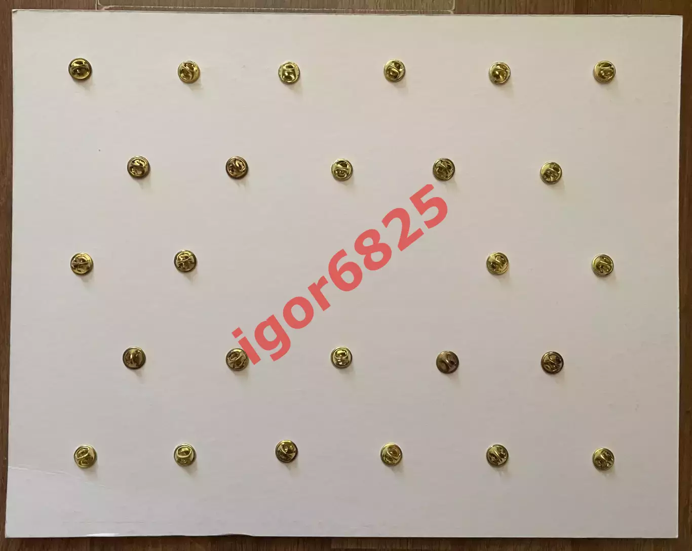 Хоккей набор значков НХЛ, серия вратари, NHL LOGO PINS Goalie 26 знаков 6