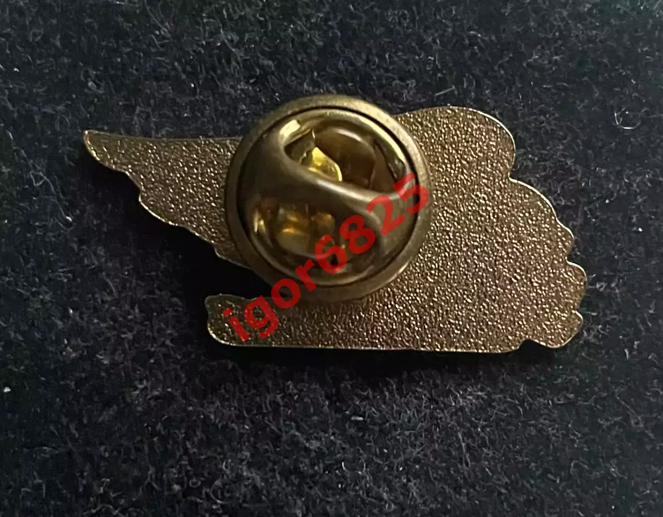 Хоккей. Значок Знак Вашингтон Кэпиталс НХЛ Washington Capitals NHL Эмблема Орел 1