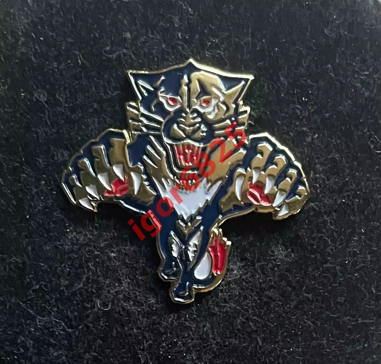Хоккей. Знак Значок Флорида Пантерз НХЛ Florida Panthers NHL. Вид 2.