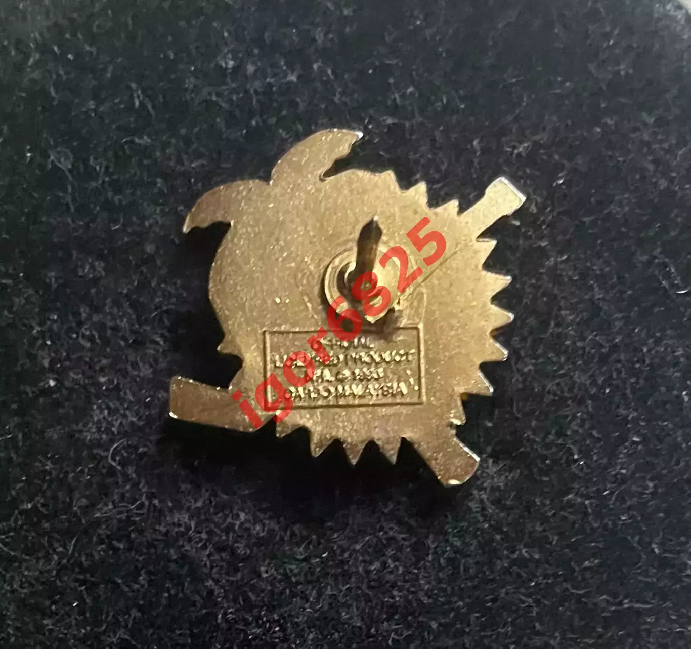 Хоккей. Знак Значок Флорида Пантерз НХЛ Florida Panthers NHL. Вид 3. 2