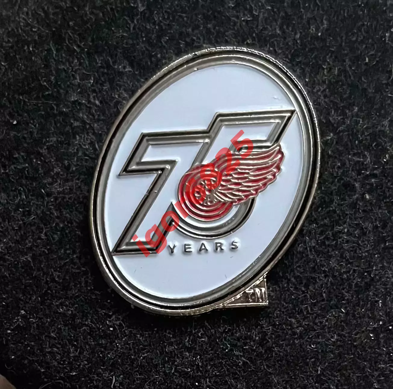 Хоккей Знак Значок Детройт Ред Уингз НХЛ 75 лет. Detroit Red Wings NHL 75 years.