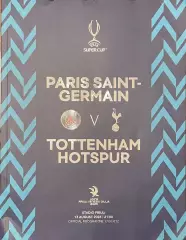 ПСЖ Франция - Тоттенхэм Англия. 13 августа 2025 года. Суперкубок УЕФА