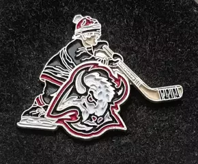 Хоккей. Знак Значок Баффало Сейбрз НХЛ Buffalo Sabres NHL. Серия клубы НХЛ дети.