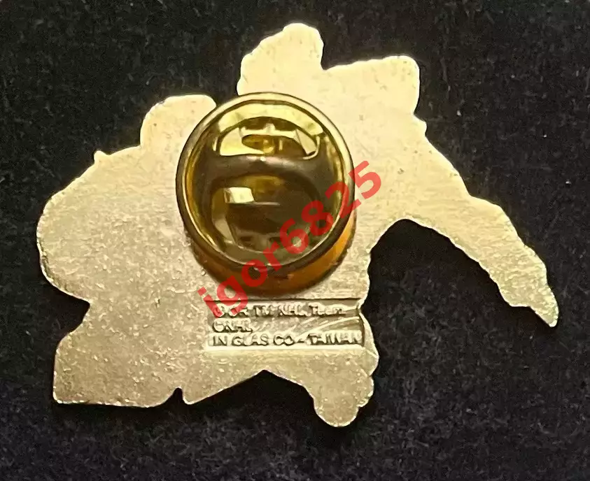 Знак Значок Вашингтон Кэпиталс Washington Capitals NHL. Серия 2 клубы НХЛ kids. 1