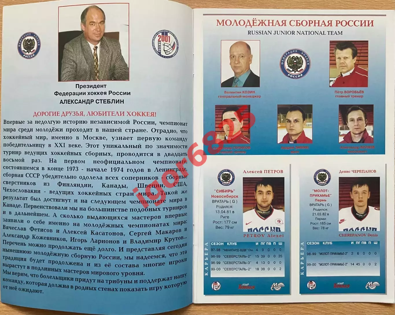 Молодежный Чемпионат мира по хоккею 26.12.2000 - 5.01.2001 года. Сборная России 1