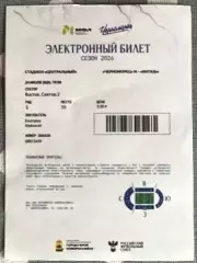 Черноморец-М Новороссийск - Витязь-М Подольск 24.07.2026. Билет