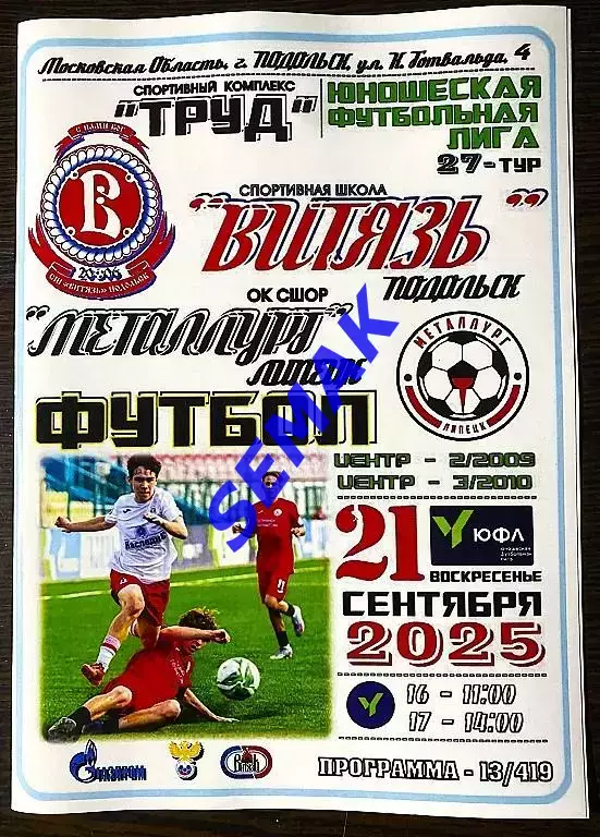 Витязь-2009/2010 Подольск - сш Металлург Липецк - 21.09.2025. ЮФЛ