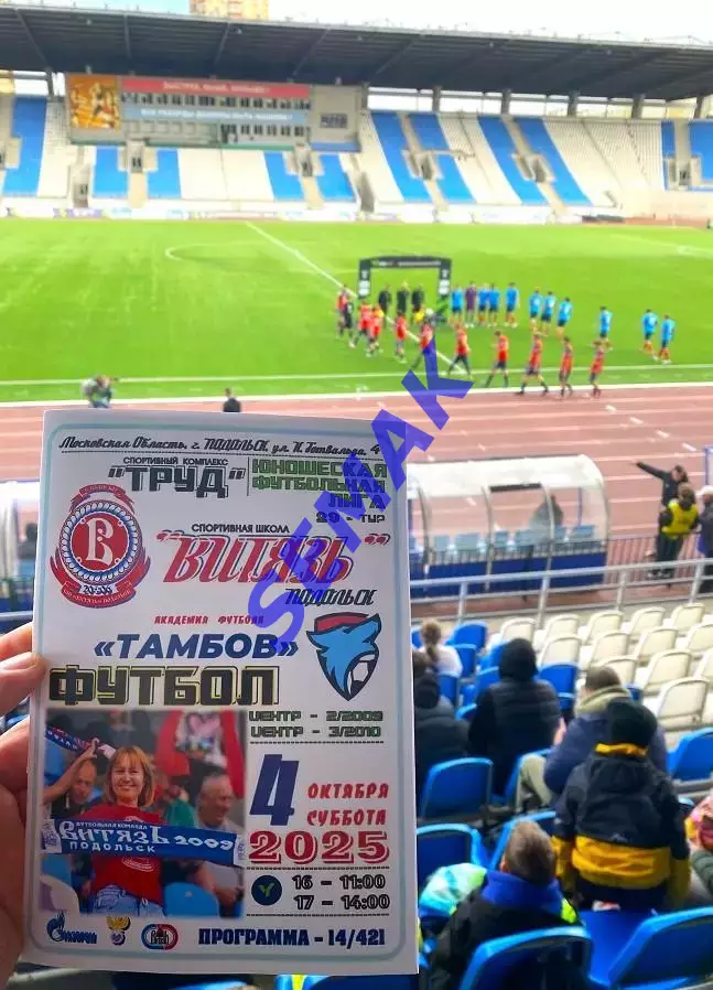 Витязь-2009/2010 Подольск - Академия Тамбов - 04.10.2025. ЮФЛ 4