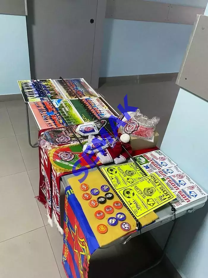 Витязь-М Подольск - Чертаново-М Москва - 24.10.2025 МФЛ 1