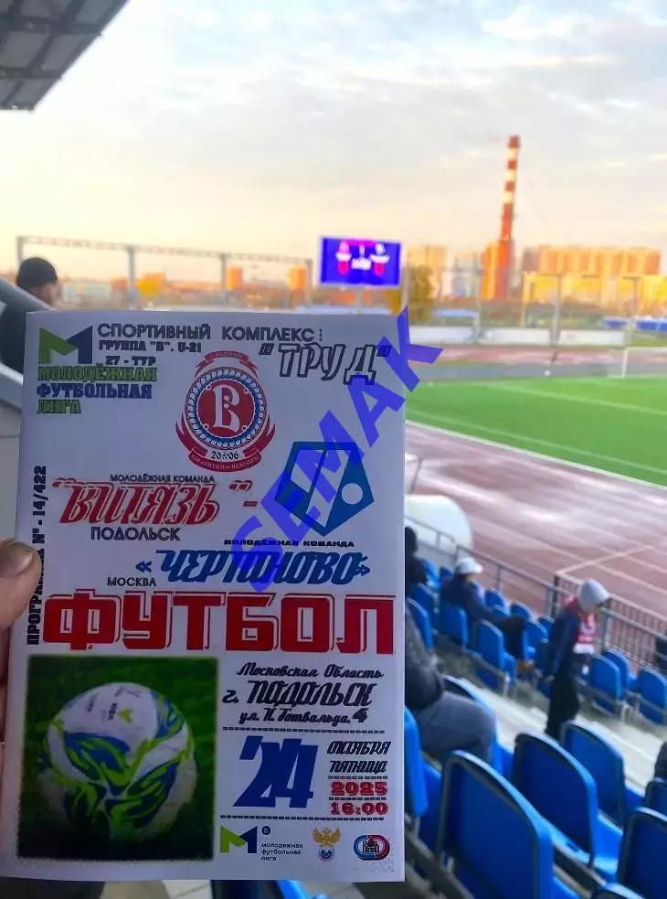 Витязь-М Подольск - Чертаново-М Москва - 24.10.2025 МФЛ 3