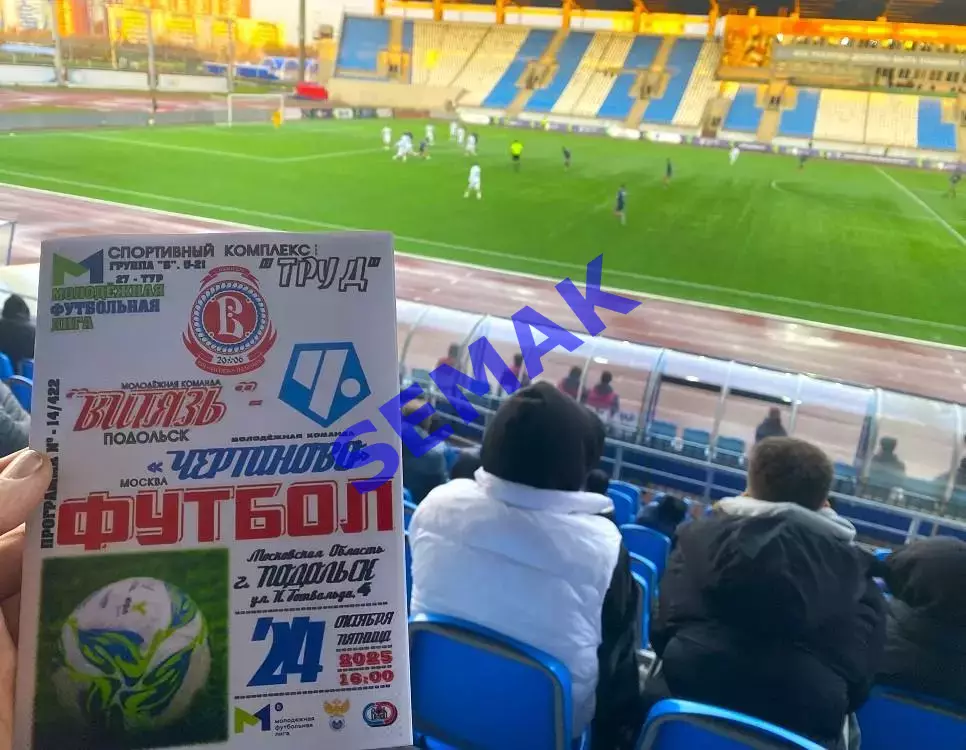 Витязь-М Подольск - Чертаново-М Москва - 24.10.2025 МФЛ 5