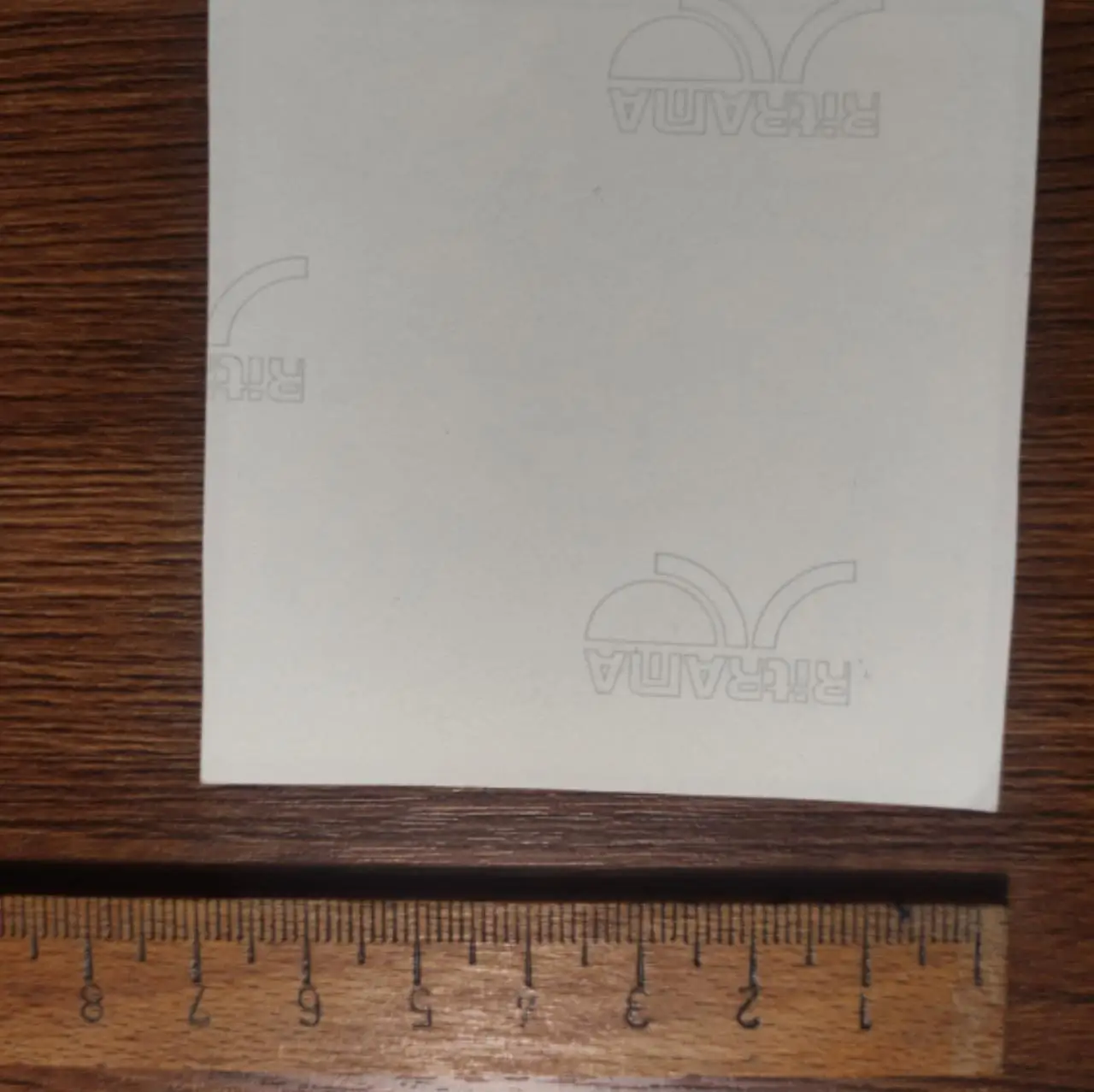 Только вперёд, ни шагу назад. ФК Химки. ОФ Весна. Околофутбол. Фанатизм, фанаты 1