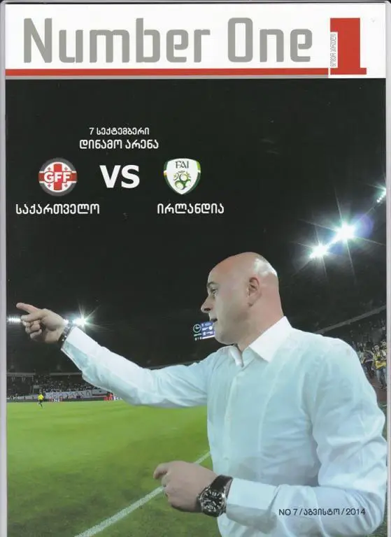 Грузия - Ирландия 2014 г. отб. матч чемпионата Европы