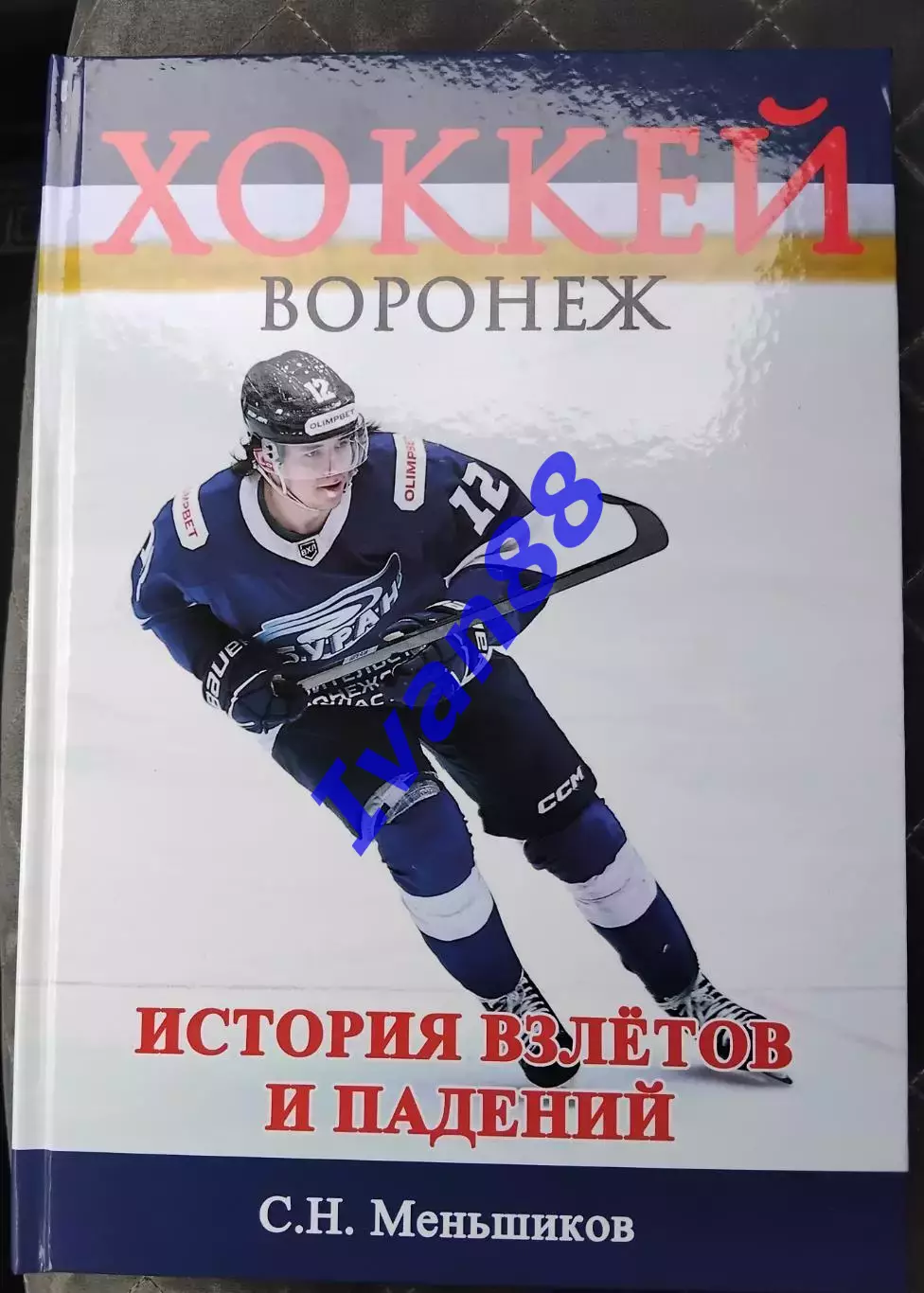 Хоккей. Воронеж