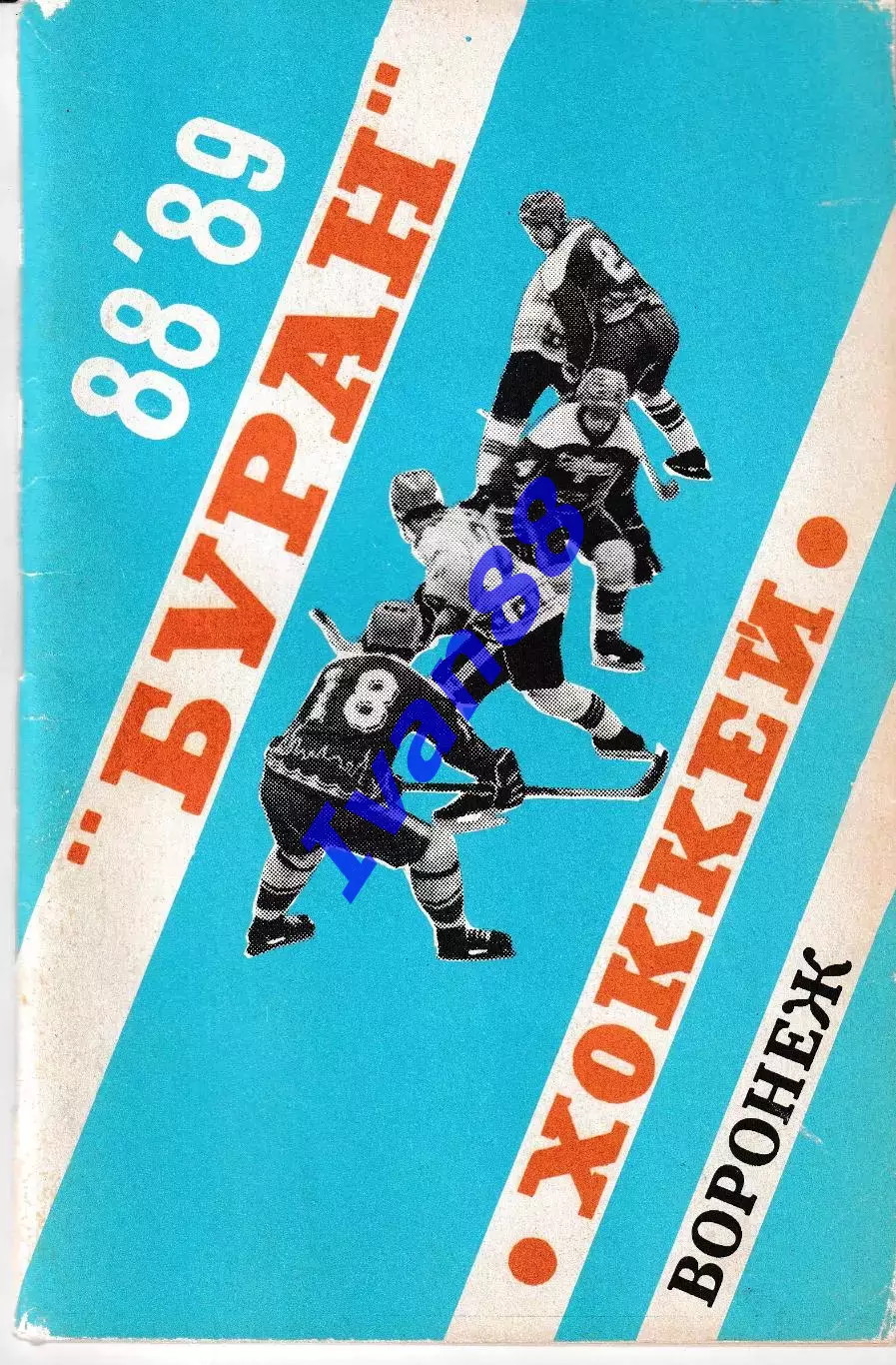Буран Воронеж 1988/1989