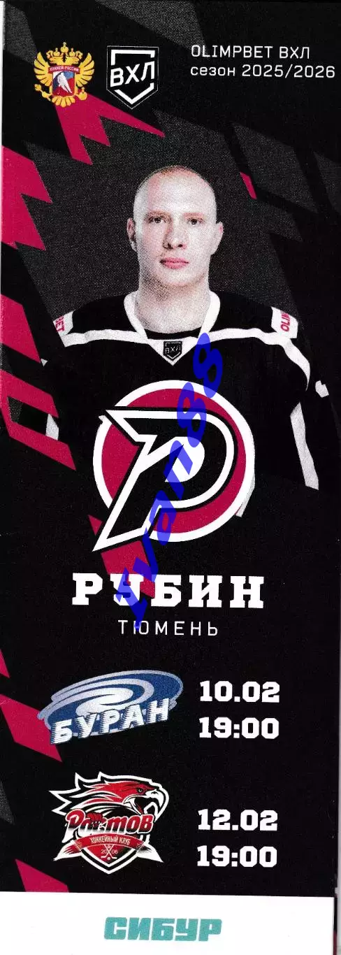 Рубин Тюмень - Буран Воронеж, ХК Ростов 10,12 февраля 2026